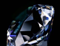 The Ultimate Guide to Swarovski Crystals